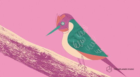 Animation Orgasm GIF by The Explainer Studio
