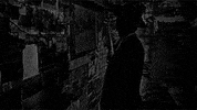 GIF by Beck