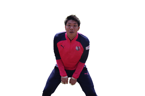 Cerezo Sticker by セレッソ大阪