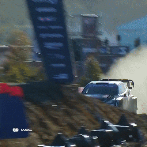 Jumps GIF by FIA World Rally Championship