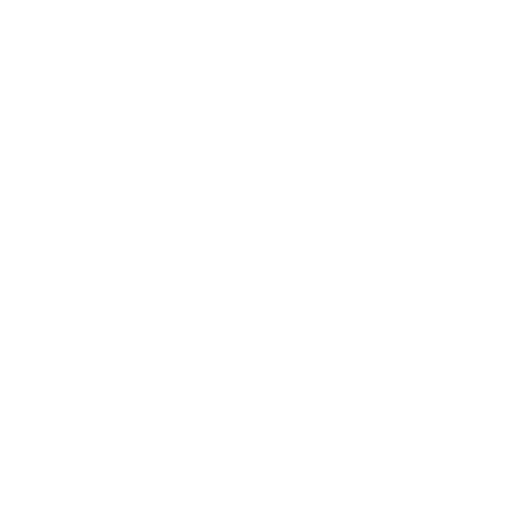 Travel Fly Sticker