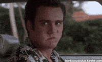 share create search ace discover GIF