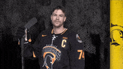 University Of Waterloo Hockey GIF by Waterloo Warriors