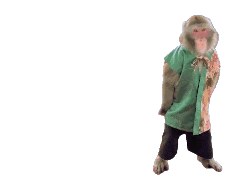 Fun Monkey Sticker
