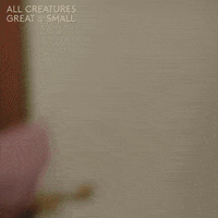 allcreaturestv animals morning eyes tired GIF