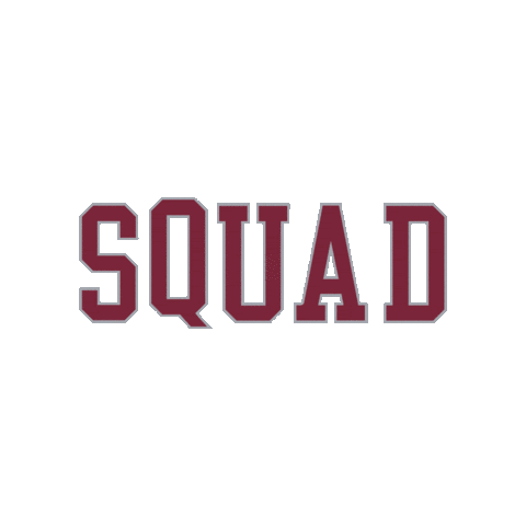 Santa Clara University Sc Sticker by Santa Clara Broncos