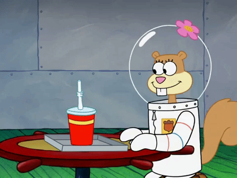 season 8 episode 10 GIF by SpongeBob SquarePants