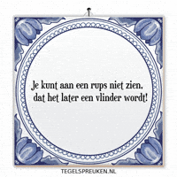 Humor Nl GIF by Tegelspreuken.nl