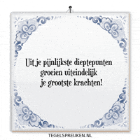 Wijsheid Verandering GIF by Tegelspreuken.nl