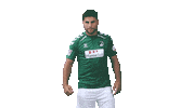 Tor Malek Sticker by VfB Lübeck