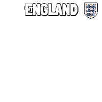 World Cup Football Sticker by Pudgy Penguins