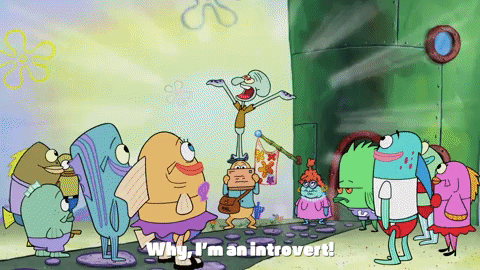 season 9 episode 13 GIF by SpongeBob SquarePants