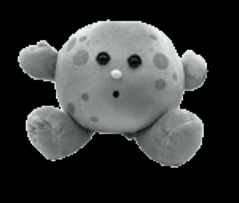 CelestialBuddies giphygifmaker moon buddy celestial GIF