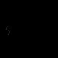 Ioulia GIF by Rene the lovebrand