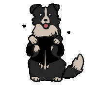 Border Collie Dog Sticker by Pri Smrčku