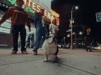 Jenny GIF by WHATMORE