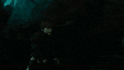 httyd 2 GIF by How To Train Your Dragon