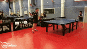 ping pong GIF