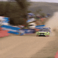 Flying Car Jumping GIF by FIA World Rally Championship