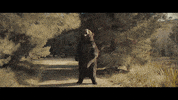 Tracy Morgan Superbowl GIF by ADWEEK