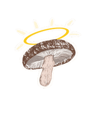 Mushroom Holy Shit Sticker