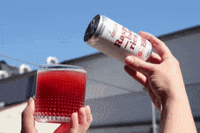 Kombucha Raspberries GIF by laesk