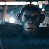 Robbie Williams GIF by BetterManMovie