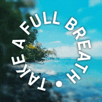 M-a-ex nature water chill ocean GIF