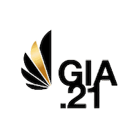 Social Media Content Creator Sticker by German Influencer Award · #GIA21