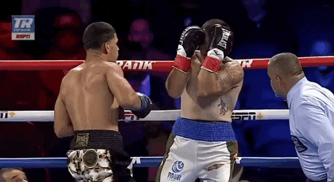 toprank giphyupload sports boxing fighting GIF