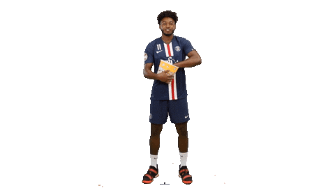 Ehf Champions League Fun Sticker by Paris Saint-Germain Handball