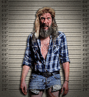 Terrafolio rock singer metal chicken GIF