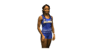 College Sports Ncaa Sticker by Delaware Blue Hens