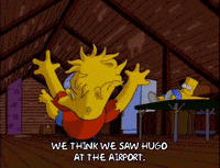 homer simpson falling GIF