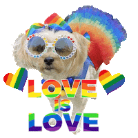 Love Is Love Happy Pride Sticker by Pimp Yo Pets