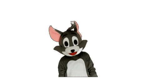 Football Tom Sticker by Kirchdorf Wildcats
