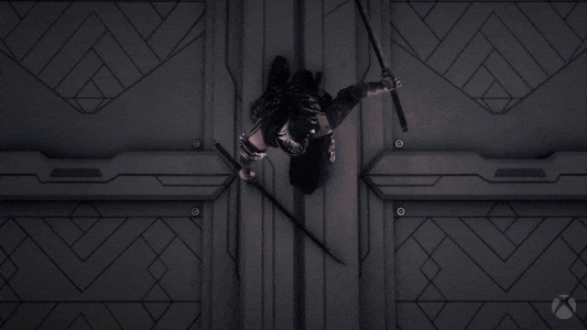 Team Ninja GIF by Xbox