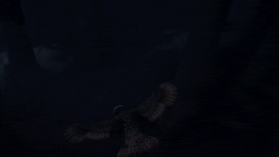 Harry Potter Magic GIF by WBGames