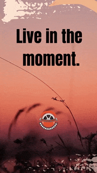 Film Production Entertainment GIF by Golden Way Media Films