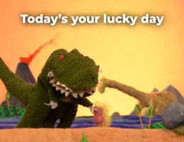 Today's your lucky day