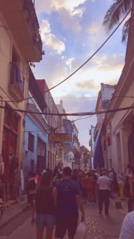 jprobst12 giphygifmaker GIF