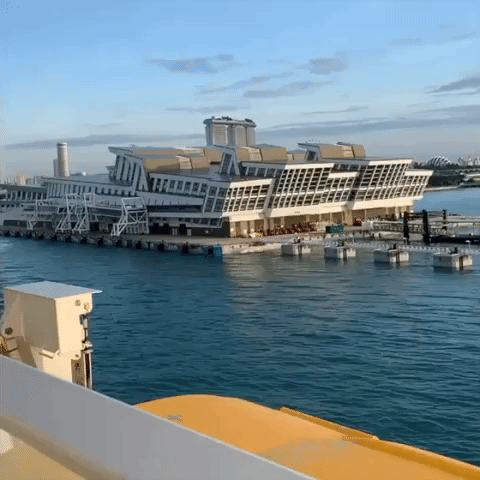 Royal Caribbean 'Cruise to Nowhere' Docks in Singapore After Passenger Tests Positive for COVID-19