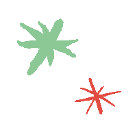 Star Sticker by KOSMOS Experimentieren