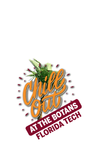 FloridaTechOfficial giphyupload chill florida palmtrees Sticker