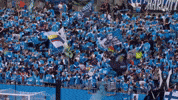 Dance Dancing GIF by CharlotteFC