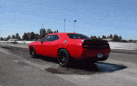 time dump GIF