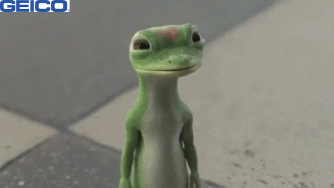 Wide-Eyed Eyes GIF by GEICO
