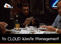 zestyco  GIF