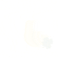 305Volleyballclub GIF by 305VBC
