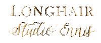 Ennis Sticker by Longhair Studio